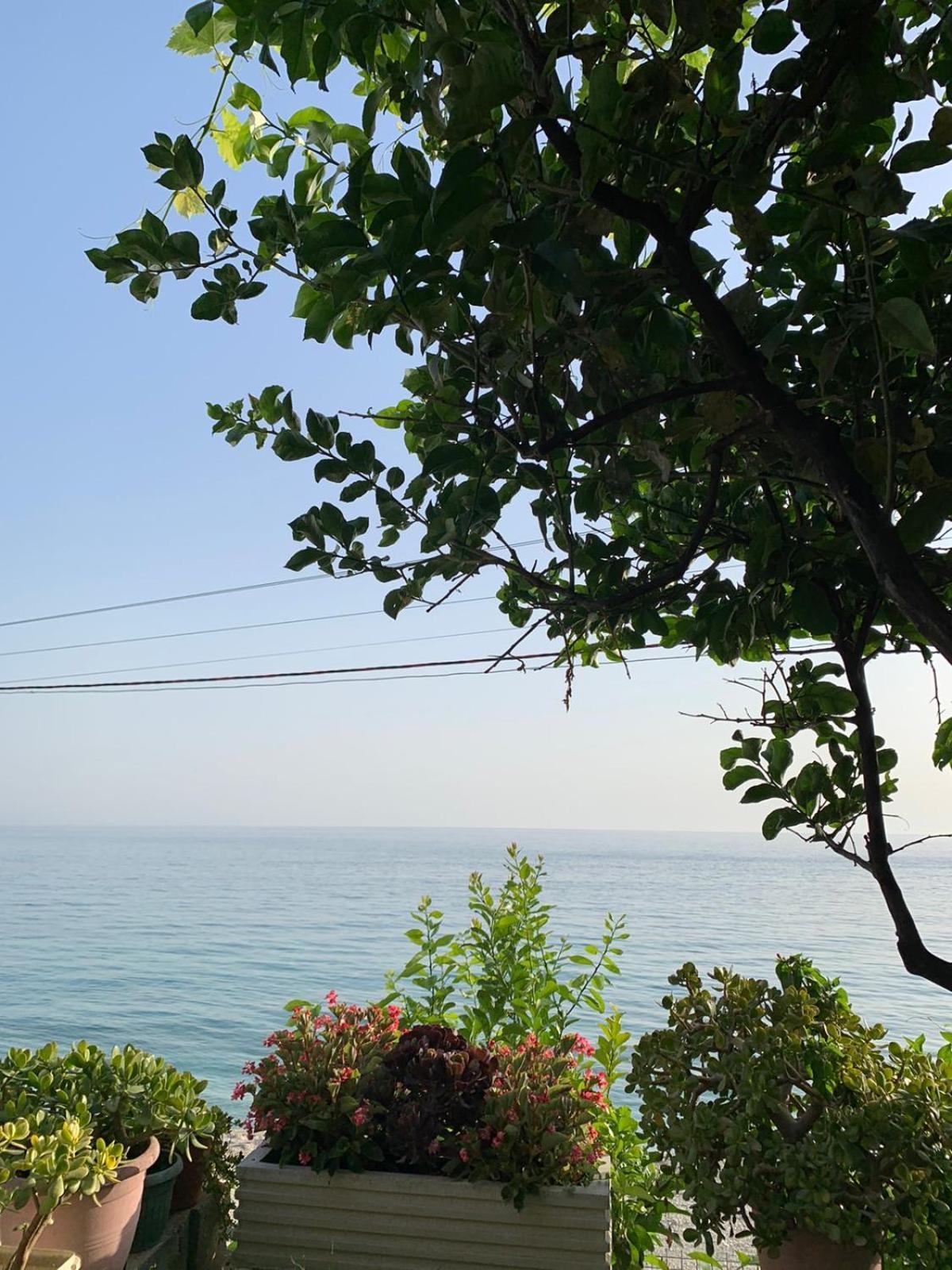 Sea La Vie Anesti Appartement